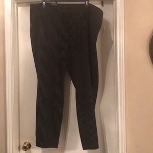 The Limited, Size 20W, pinstripe, Black and Marsh